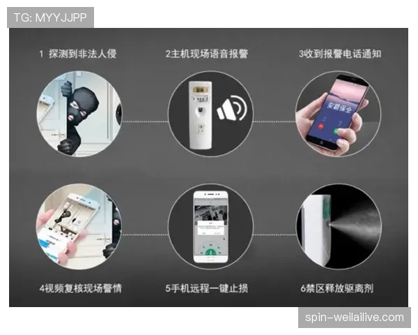 视频回放判罚规则解析：什么情况下会启动回放复核？